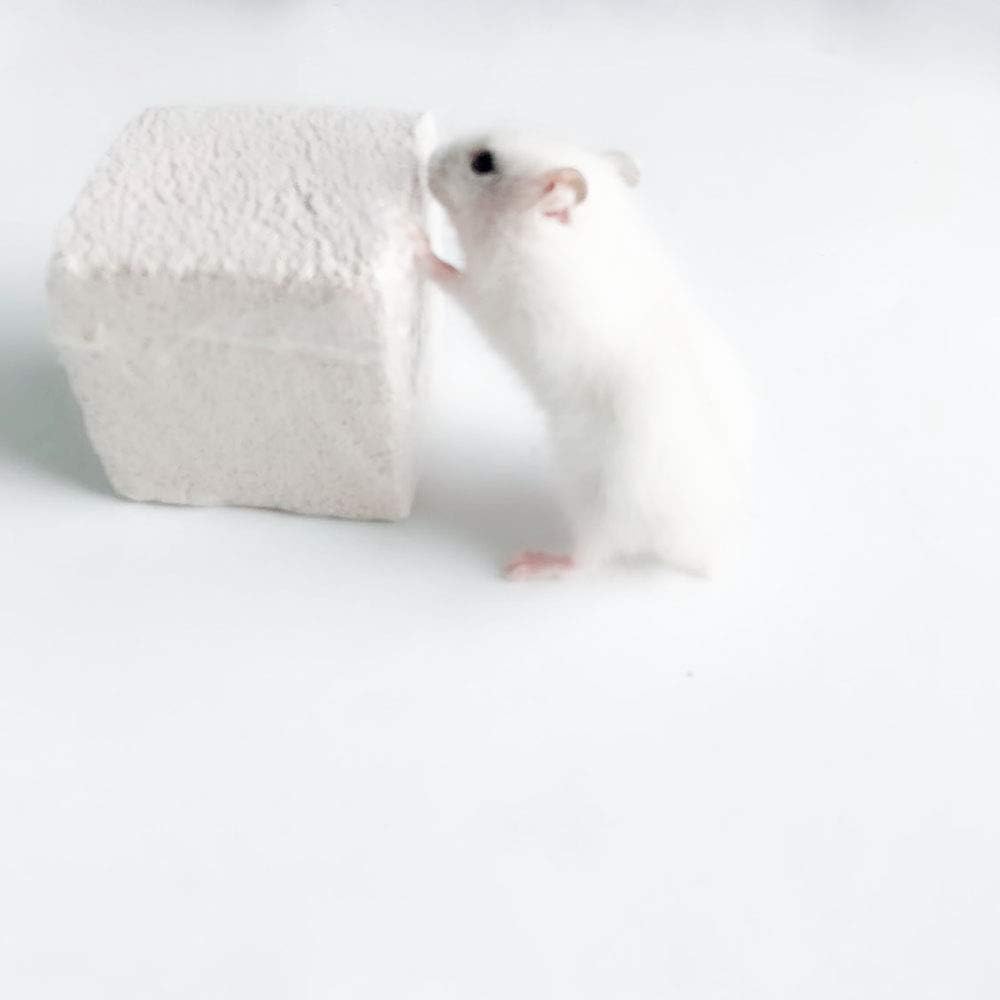 Hamiledyi Hamster Chew Toy Lava Teeth Grinding Square Stone For Hamsters Chinchillas And Rabbits Mineral Stone Calcium Chew Toy For Small Animal(Pack Of 10)