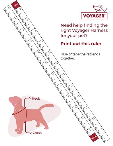 Voyager Step-In Air Dog Harness - All Weather Mesh Step In Vest Harness For Small And Medium Dogs And Cats By Best Pet Supplies - Harness (Purple), Xs (Chest: 13-14.5')