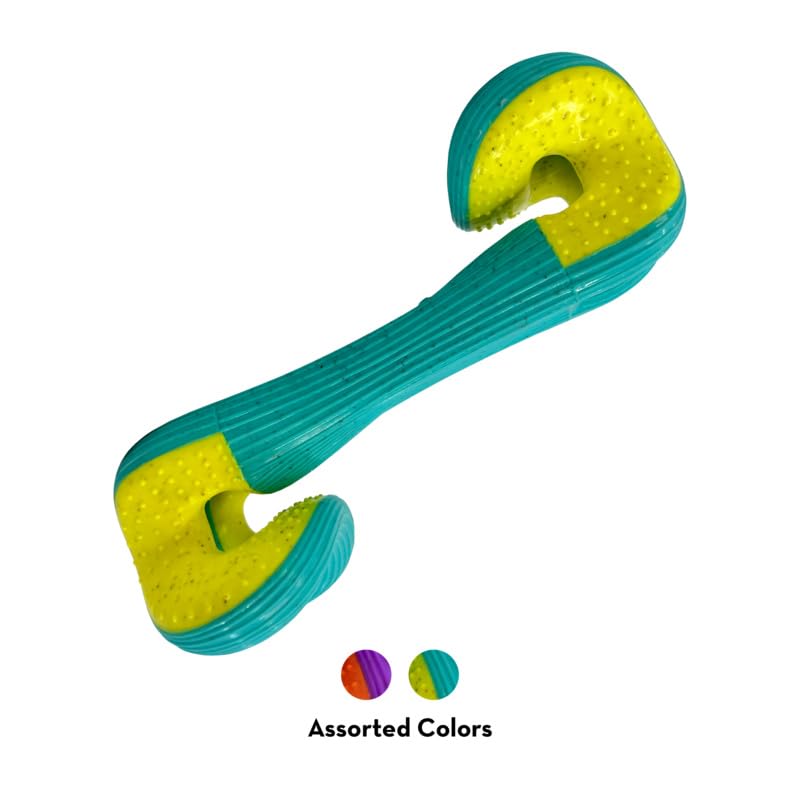 Kong Rerun Whoosh Bone Assorted Colors Interactive Dog Toy (Medium/Large)
