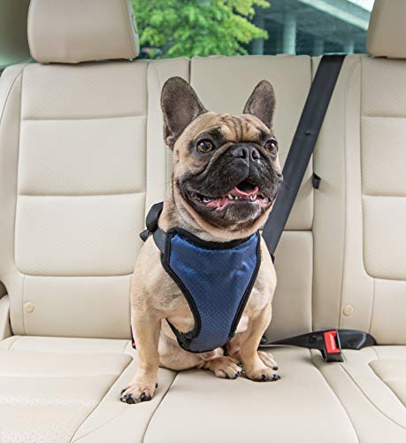 Petsafe Happy Ride Certified, Crash-Tested, Comfortable, Durable, Dog Safety Harness, Medium