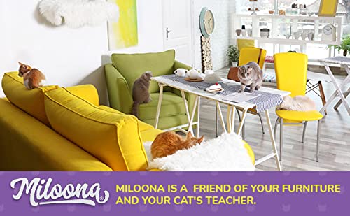 Cat Anti Scratch Furniture/Couch Protector From Cats Scratching - Couch Scratch Protector - Cat Training Tape - Scratch Guard