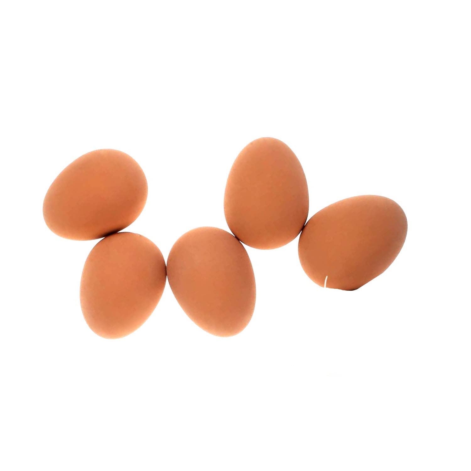 Rvpaws NonToxic Playing Chewing Fetching Rubber Bouncing Egg Ball Toy For Puppies (Set Of 5)