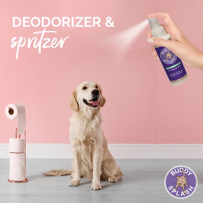 Buddy Splash Spritzer & Conditioner For Dog Grooming, Lavender & Mint, 4 Oz. Bottle