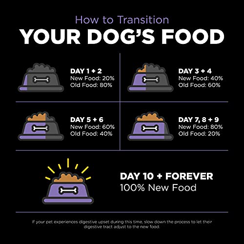 Go! Solutions Carnivore, Grain-Free, Protein Rich Dry Dog Food, Chicken, Turkey and Duck Senior Recipe, 12 lb Bag