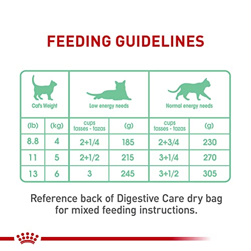 Royal Canin Digestive Care Thin Slices in Gravy Wet Cat Food, 3 oz can (12-count)
