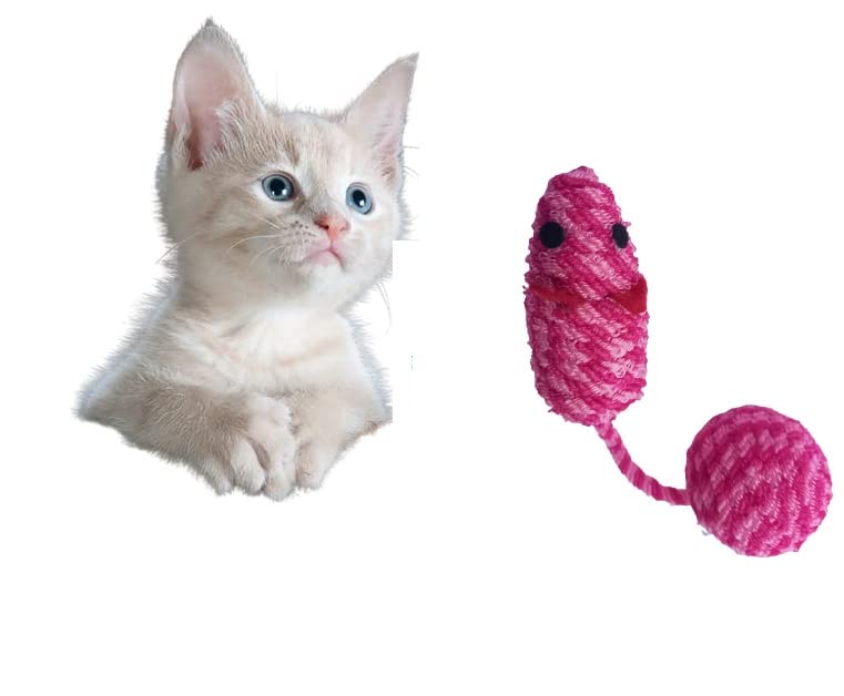 Smart Pups Cat Mice Funny Toys For Cat And Dog Colour May Very Pack Of 1 Pcs