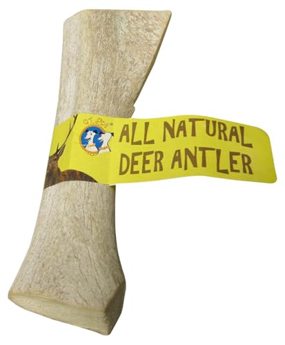 Qt Dog Medium Antlers - Long-Lasting 100% All-Natural Dog Chew, Ethically Sourced Protein-Packed & Low Fat Dental Chews, Vitamin-Rich Treat Ideal For All Breeds & Aggressive Chewers