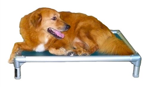 Kuranda Chewproof Bed - Silver Aluminum - 44'' x 27'' - Heavy Duty Vinyl - Royal