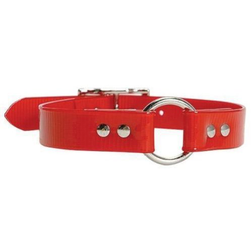 Omnipet Sunglo Ring-In-Center Dog Collar, 3/4' Wide, Red, Fits 11.5'- 15' Neck Sizes, Vibrant Colors & Tough Construction For