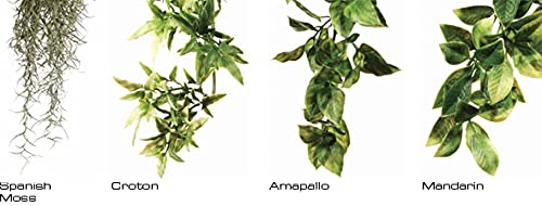 Exo Terra Plastic Terrarium Plant, Small, Amapallo