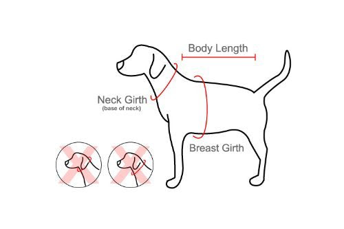 Puppia Vivien Dog Harness Over-The-Head All Season Cute No Pull No Choke Walking Training Adjustable For Small Dog, Black, Large