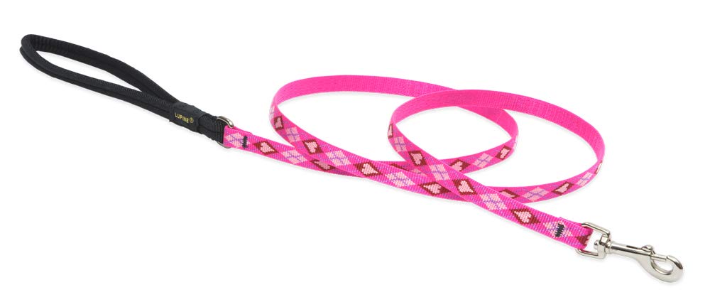 Lupinepet Originals 1/2' Puppy Love 6-Foot Padded Handle Leash For Small Pets