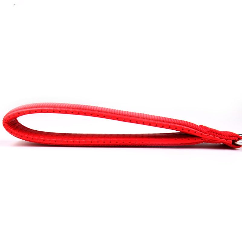 SGODA Metal Chain Heavy Duty Dog Leash, Chew Proof Dog Leash with Soft Handle for Over 50 lbs Large Size Pets Walking(4 ft. x 4.