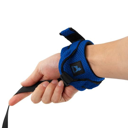Gooby Soft Mesh Wrist Band Surfer Leash - Blue, 6 Ft - Comfortable Hands Free Leash With Elastic Band For Small, Medium And Larg