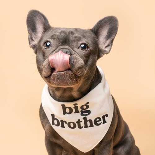 Big Brother Dog Bandana | 100% Cotton Adjustable Triangle | Pregnancy Announecment | New Baby Matching Family | Lime Green One S