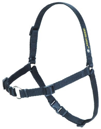 Softouch Sense-Ation No-Pull Dog Harness (Green, Medium/Large Narrow)