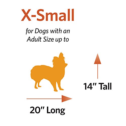 Midwest Pet Carrier: Hard-Sided For Dogs, Cats - 20.7L X 13.2W X 14.1H In - For Small Breeds, Travel