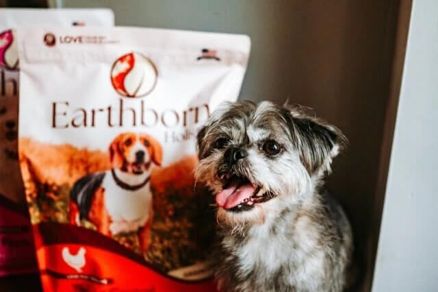 Earthborn Holistic Weight Control Chicken Meal & Vegetables Grain-Free, Low-Fat Dry Food for Adult Dogs (12.5 lb. Bag)