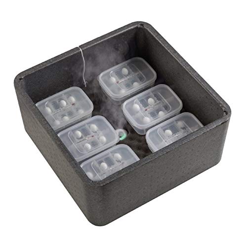 Exo Terra Precision Incubator Pro For Reptile Terrariums