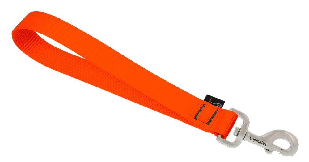 Training Tab By Lupine In 1' Wide Blaze Orange For Medium And Larger Dogs