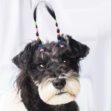 Pet Supply 200 Pack Tiny Rubber Bands Dog Hair Ties.3/8'' Ivory Hair Rubber Bands For Dog Bows, Mini Rubber Bands For Hair,Dog G