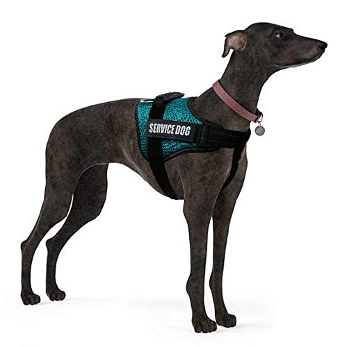 Dihapet No Pull Dog Harness, Adjustable Service Dog Vest, Reflective Easy For Walking Training, Green/Xxl