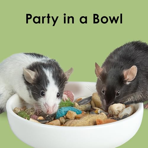 Kaytee Fiesta Mouse & Rat Food Flavor Medley 15 Pounds