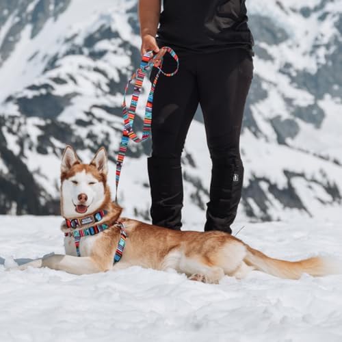 Wolfgang Heavy Duty Adjustable Dog Harness, Pull-Tested To Over 800 Lbs For Walking & Training, Quetzal Print, Small