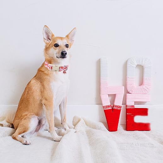 Lionet Paws Valentine'S Dog Collar- Cute Pink Wink Heart Dog Collars With Plastic Buckle, Light Adjustable Dog Collars For Mediu