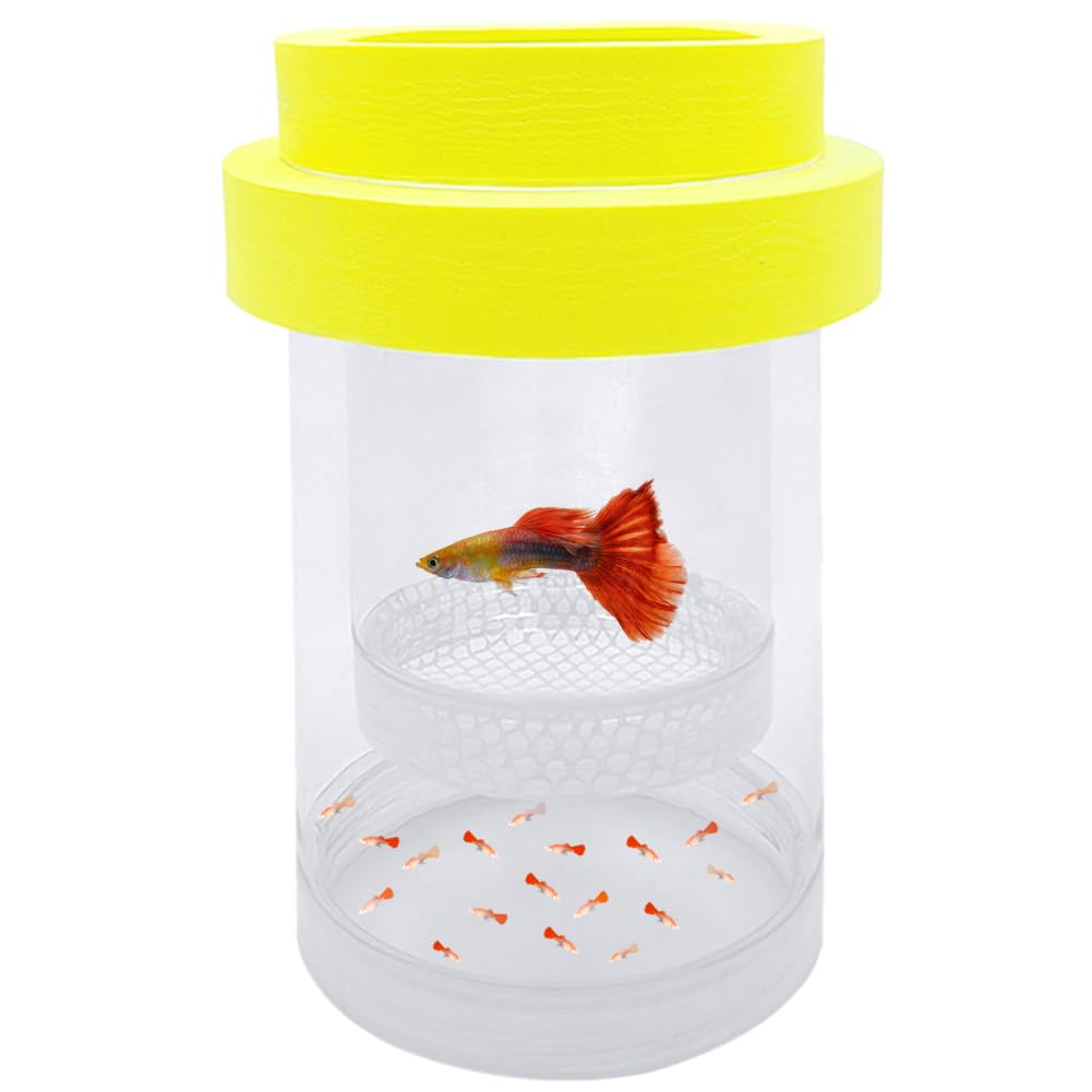 Kirmoo Floating Fish Breeding Isolation Box For Aquarium Tank Plastic Mesh Hatchery Incubator Breeder Box For Baby Fish Betta Sh