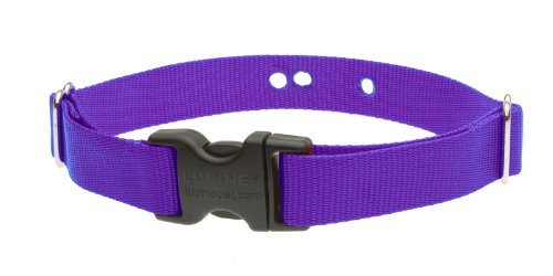 LupinePet Basics 1'' Purple 16-24'' Containment Collar Strap for Medium and Larger Dogs