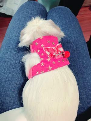 Wontee Small Pet Harness Vest And Leash Set With Bowknot And Bell Decor For Gerbil Guinea Pig Squirrel Kitten Outdoor Walking (M, Pink Star)