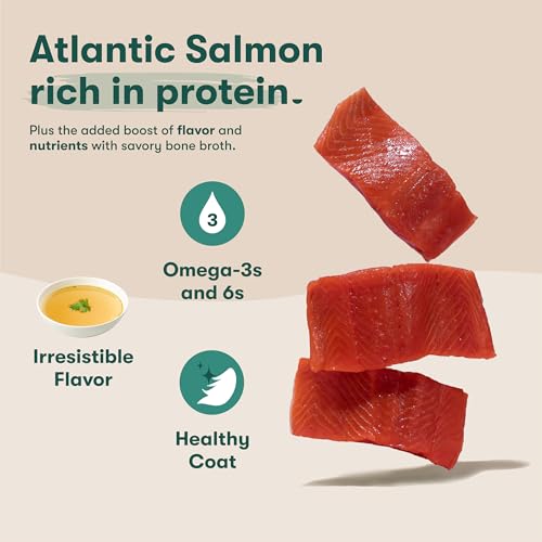 Jinx Salmon Grain Free Wet Dog Food Toppers, Meal or Mix with Dry Dog Food, Made with Real Salmon & Chicken, Bone Broth, No Fill
