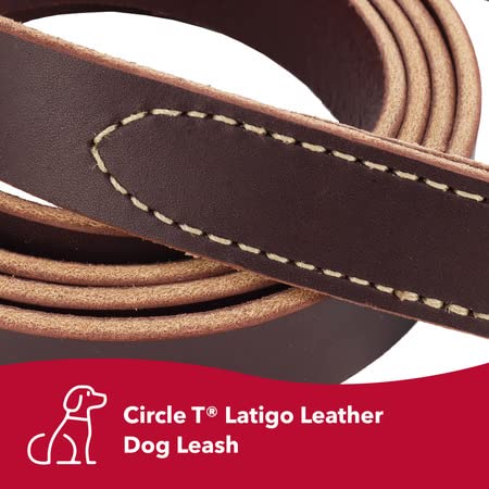 Coastal Pet - Circle T Latigo Leather Dog Leash - Comfortable And Weather-Resistant Dog Leash For Training - Perfecr For Puppies & Dogs - 3/4' X 6'
