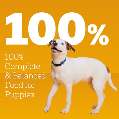 PEDIGREE CHOPPED GROUND DINNER Puppy Canned Soft Wet Dog Food With Lamb & Rice, 13.2 oz. Cans (Pack of 12)