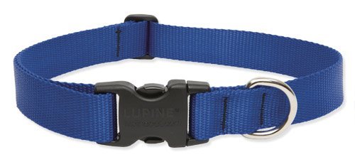 Lupine Pet Basic Solids Blue Blue Nylon Dog Adjustable Collar
