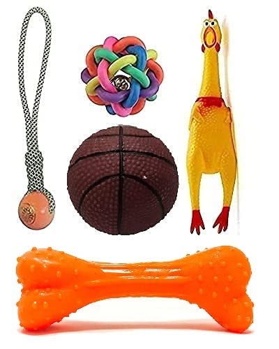 PSK PET MART Squeaky, Chew Teether Toys for Dog/Puppy  Flavoured Bone + Plastic Handle Ball + Squeaky Hen Big + Rainbow Ball (S