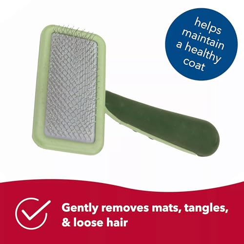 Coastal Pet Safari Dog Soft Slicker Brush - Dog Grooming Brush For Shedding - For Dogs With Short, Medium And Long Hair - Small