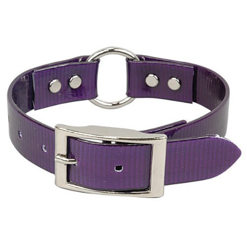 Omnipet Sunglo Ring-In-Center Dog Collar, 1' Wide, Purple, Fits 14.5'- 18' Neck Sizes, Vibrant Colors & Tough Construction Fo
