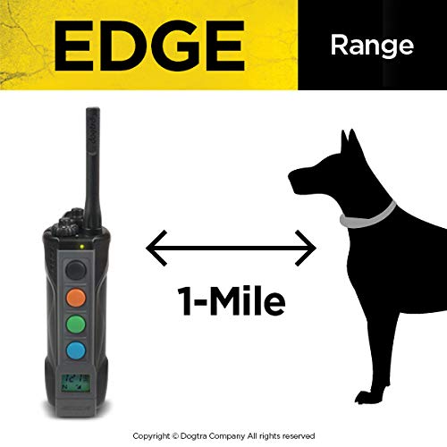 Dogtra Edge Electronic Dog Training Collar With Remote For Large And Medium Dogs 35+ Lbs - Up To 1-Mile Range, Vibration, 127 St