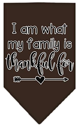 Mirage Pet Product I Am What My Family is Thankful for Screen Print Bandana Cocoa Small