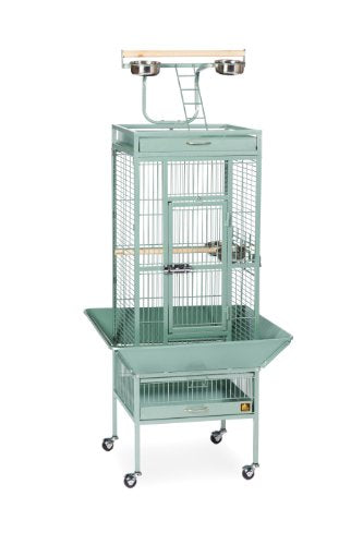 Prevue Hendryx Pet Products Wrought Iron Select Cage - Sage, 18 X 18 X 57