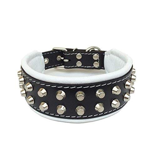 Bestia Rocky Studded Dog Collar. Hand Made. French Bulldog to German Shepherd, 1 or 2 inch Wide, 100% Leather, Soft Padded, 7 Si