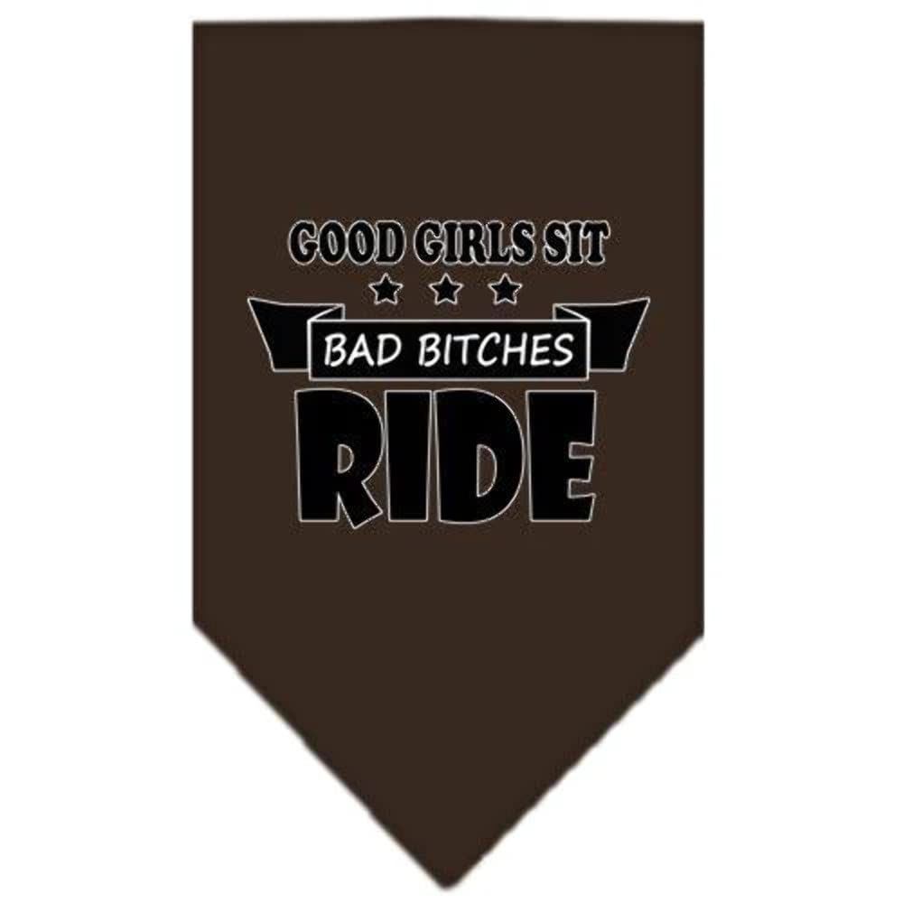 Mirage Pet Product Bitches Ride Screen Print Bandana Turquoise Large
