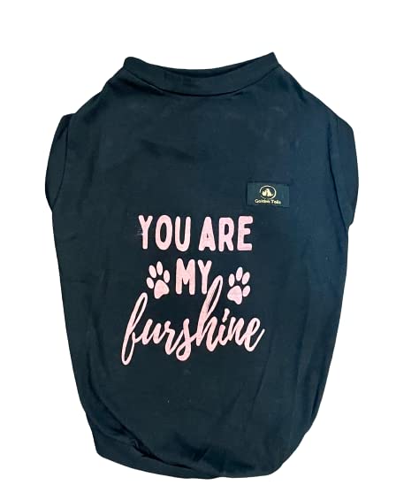 Golden Tails Cotton You Are My Furshine T-Shirt For Dogs And Cats (Black Xl 20, 1 Count)