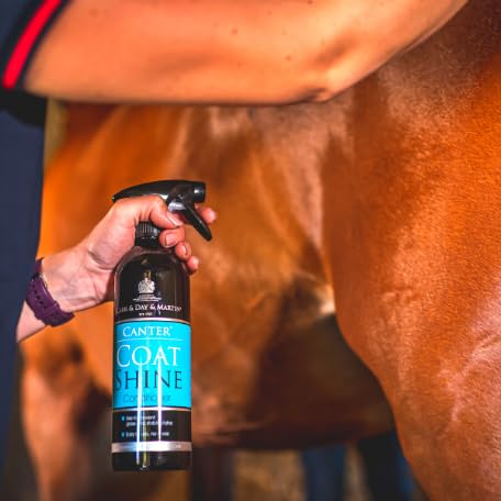 Howan Carr Day And Martin Canter Coat Shine 500Ml Coat Care 500Ml Clear