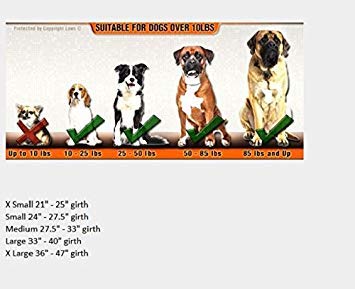 Dean & Tyler D&T Universal Bk-L Dt Universal No Pull Dog Harness With Adjustable Straps, Large, Fits Girth, 79Cm To 107Cm, Black