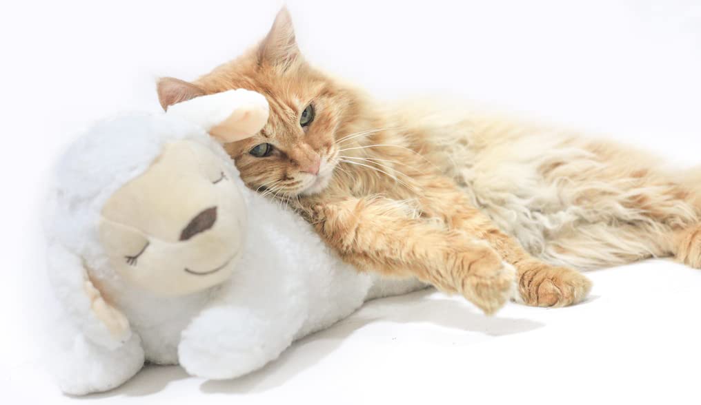 Honourhope Dog Heartbeat Toy For Anxiety Relief, Dog Soft Plush Toy Pet Calming Puppy Behavioral Training Aid Toy Pet Companion Pillow For Puppy Dog Cat Kitty Pets - Sheep