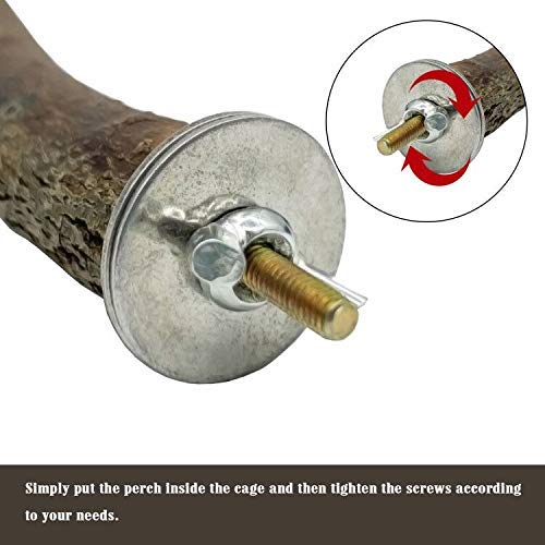 Ebaokuup Bird Parrot Perch Stand Set - 10 Pcs Natural Wood Bird Parakeet Stand Branch, Fork Perch Rod Stand Paw Grinding Stick Bird Cage Accessories For Pet Budgies Cockatiels Conure Lovebirds