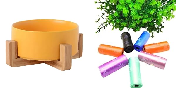 Urban Pet Gallery Elevated Ceramic Pet Bowl For Cats And Dogs With Wooden Stand (Yellow, Medium) And Pet Waste Trash Bags For Do